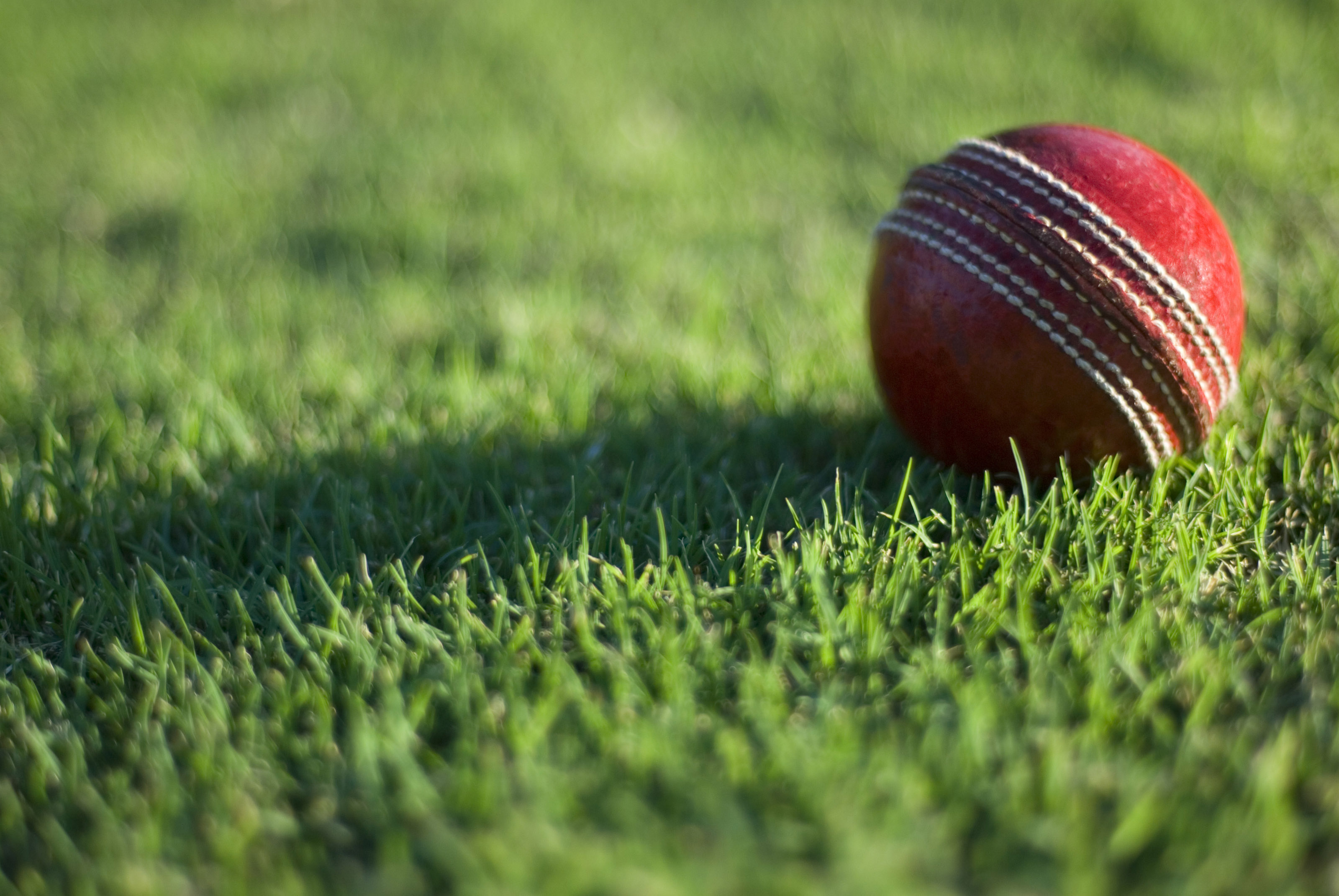 Free Stock Photo 4844 cricket field - freeimageslive