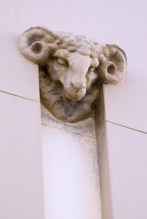 close up on a stone sheep head grotesque on the side of a building