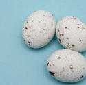 5079   Mini Speckled Eggs