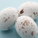 5080   White Speckled Candy Eggs