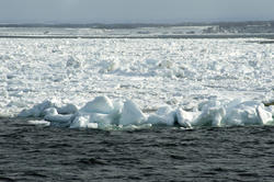 5975   ocean icedrift