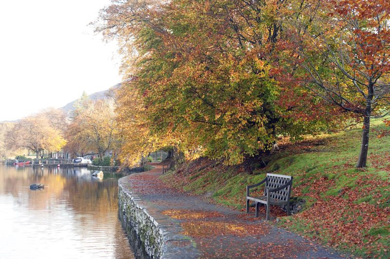 A wooden rustic bench stands alongside a tranquil river with the colourful changing hues of autumn leaves in the trees