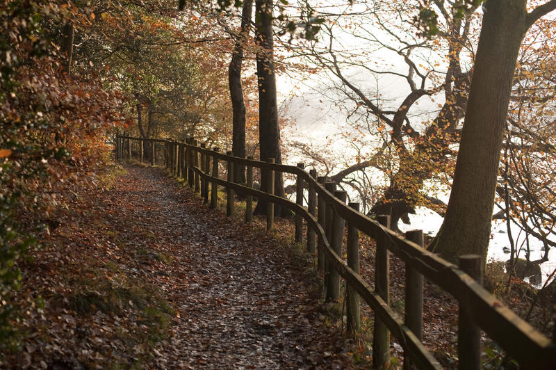 Rustic wooden rail fence bordering an empty path meandering through a colourful autumn forest