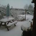 6531   back garden under snow