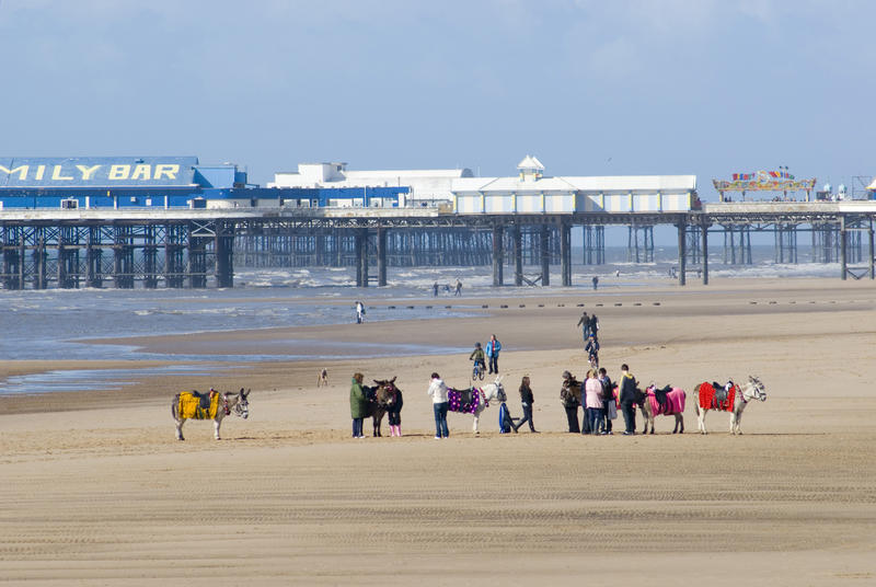 Group of saddled doneys and their handlers gathered on the sandy beach waiting for tourists to enjoy the Blackpool donkey rides