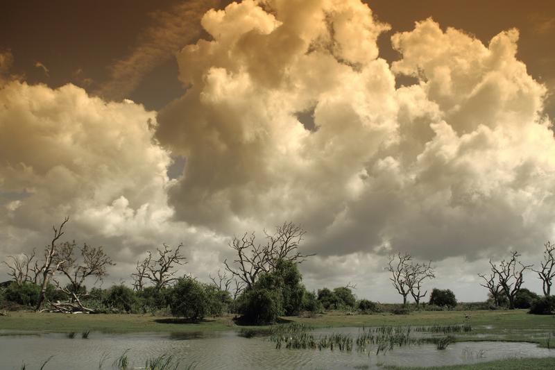 Clouds and water and trees, Bundala national park, hambantota, srilanka