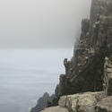 5827   cape pillar cliff face