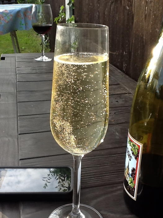 <p>&nbsp;A Glass of bubbly champagne in the garden&nbsp;</p>A champagne glass full of bubbles placed on garden bench 