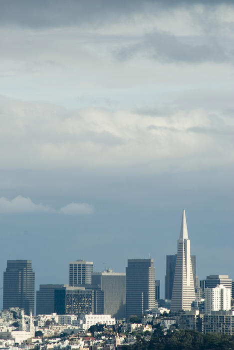 tall office buildings forming the skyline of san francisco