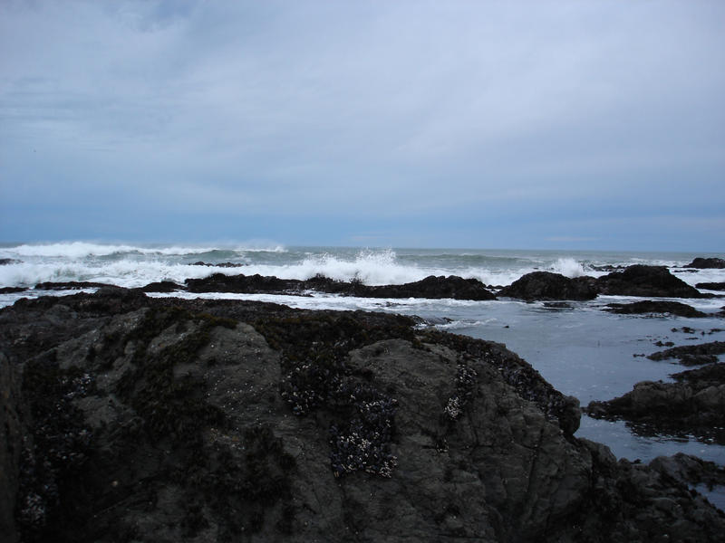an ominous sky over a grey ocean hororizon with black rocks and breaking waves in the foreground