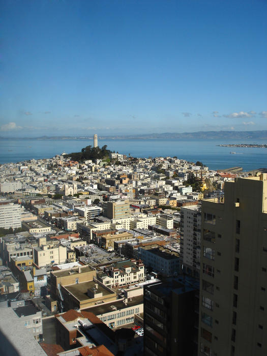 the coit town and the city of san francisco viewed from a tall building