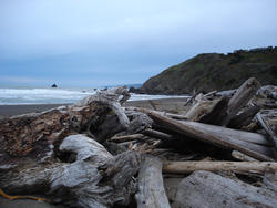 5795   driftwood beach