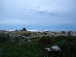5806   storm beach landscape