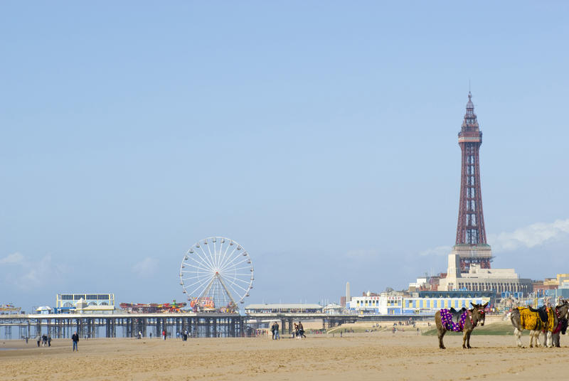 A group of saddled donkeys stand on the sandy beach at Blackpool to provide donkey rides for tourists and children with the Blackpool Tower in the background