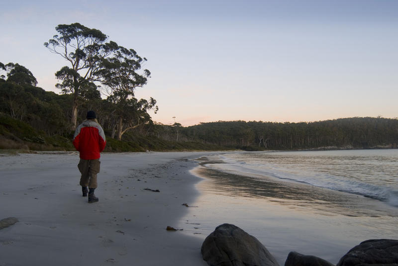walking a along fortescue beach at sunrise, tasman peninsula, tasmania