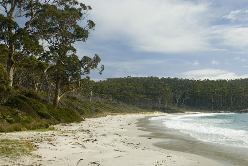 waves breaking on the sandy beach at fortescue bay, tasmania