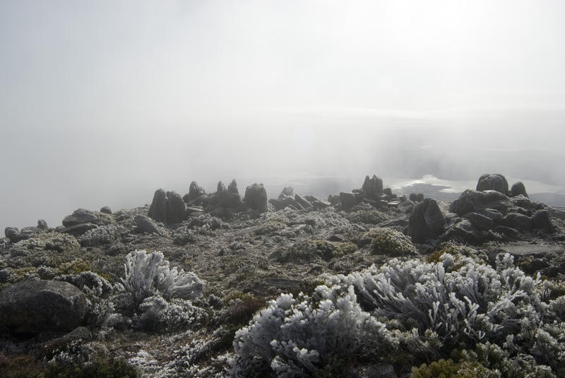 mount wellington summit covered in a harsh winter hoar frost