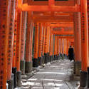 6056   torii gate path