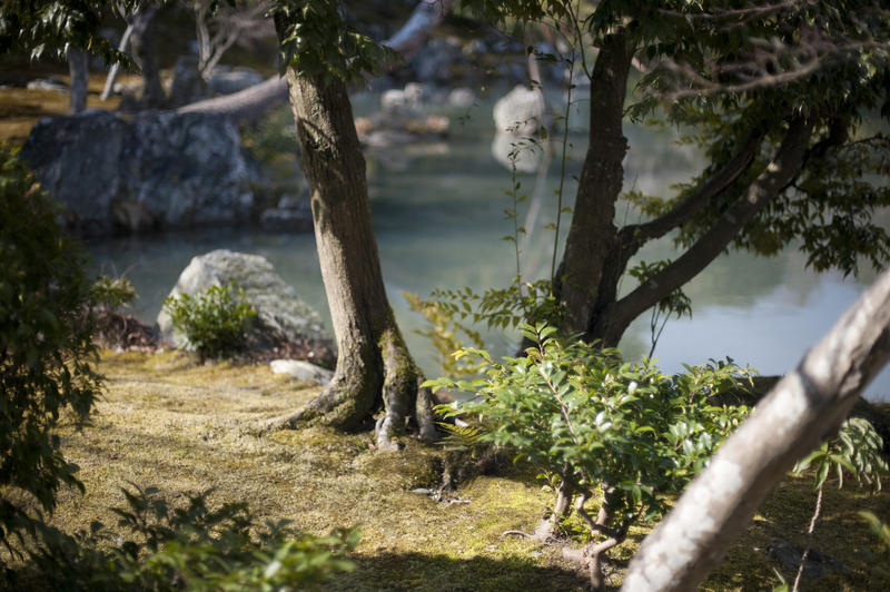 beautiuful landscaped japanese gardens created in the 14th century at Tenryu Ju - Kyoto, Japan