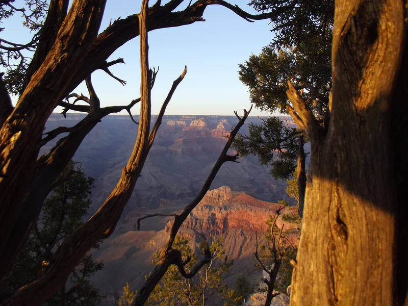 <p>View across the Grand Canyon.</p>