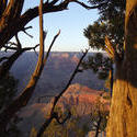 6175   grand canyon view