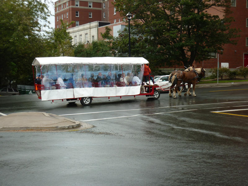 Horse-drawn tourism in Halifax, Nova Scotia, Canada with two horses pulling a wagon loaded with tourists through the city streets on a wet day
