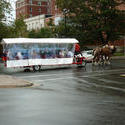 6720   Horse drawn tourism in Halifax