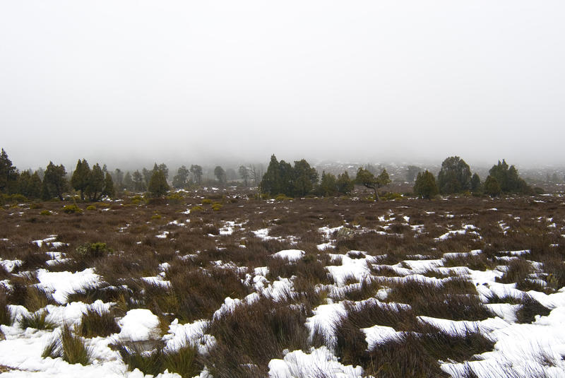 tasmania central highlands in winter