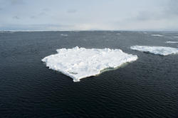 5981   Iceberg