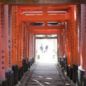 6062   torii gate tunnel