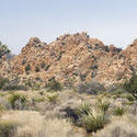 5655   desert landscape