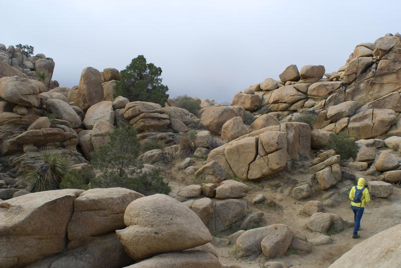 hiking through the rocky landscape of the joshua tree national park
