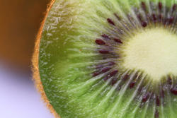 5911   Kiwifruit
