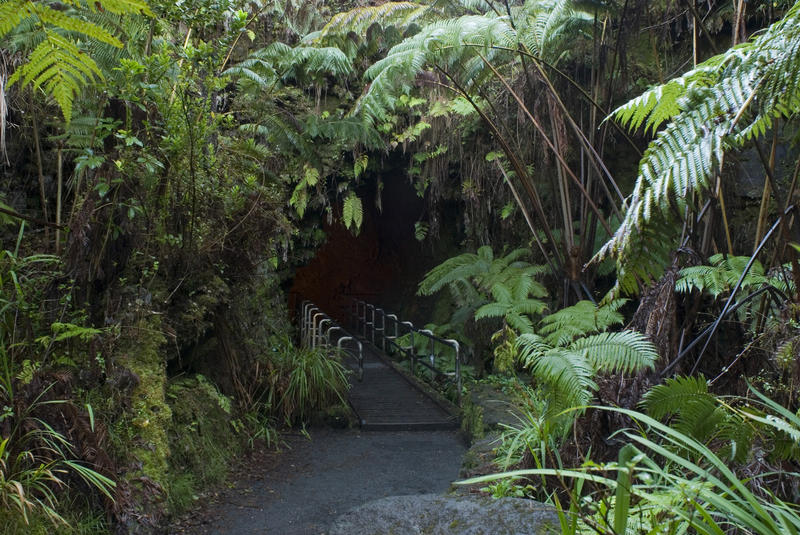 Tropical plants at the entrance to the Thurston lava tube, volcanoes national park, big island, hawaii