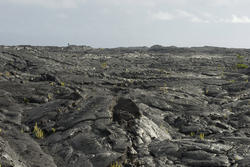 5528   Solidified Lava Fields