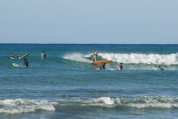 5491   Waikiki Surfing