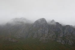 5832   sentinel cliffs tasmania