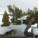 5862   frozen ponds
