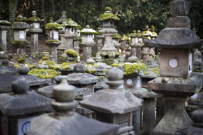 a forest of kasuga-doro stone lanterns near the Kasuga Taisha Shrine complex, Nara, Japan