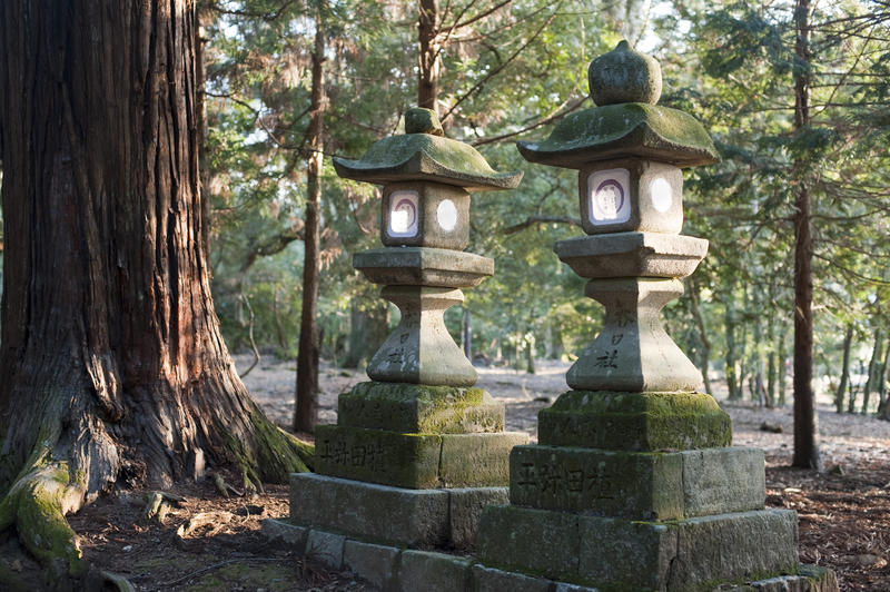 Tachi-doro (stone lanterns) located near the Kasuga Taisha Shrine complex, nara, japan