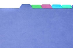 5431   Blank folder dividers with tabs