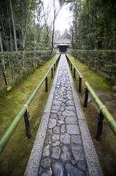 6118   Koto in (Daitoku ji) footpath