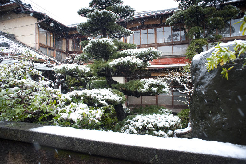 winter snow falling on a traditional japanese garden