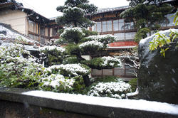 6136   tokyo winter