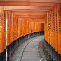 6140   red torii gates