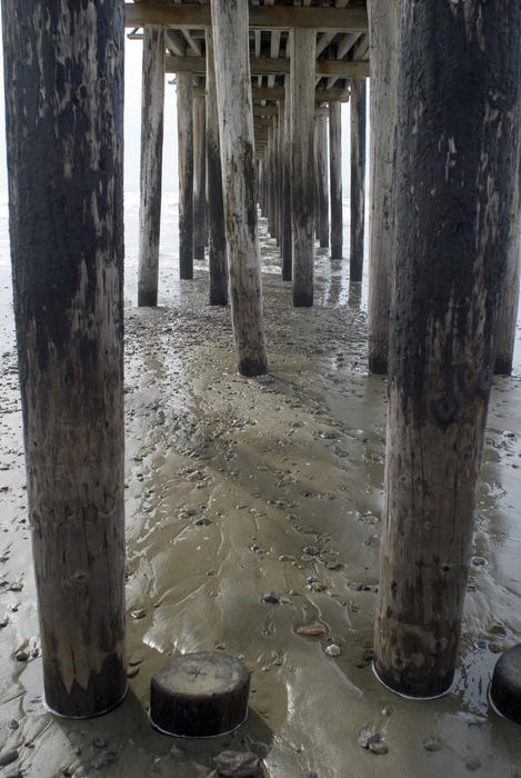 lines of wood pilings forming the support structure of cayucos pier