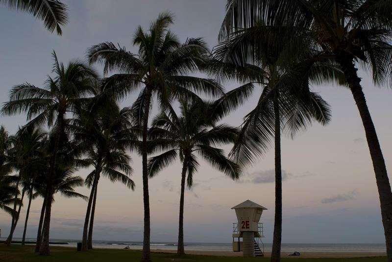 plam trees and a lifeguard tower, honolulu sunset, waikiki beach, hawaii