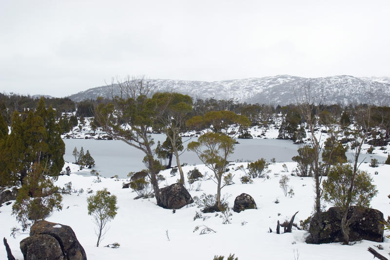 one of make lakes collectively known as solomons jewels in walls of jerusalem national park, frozen over in winter