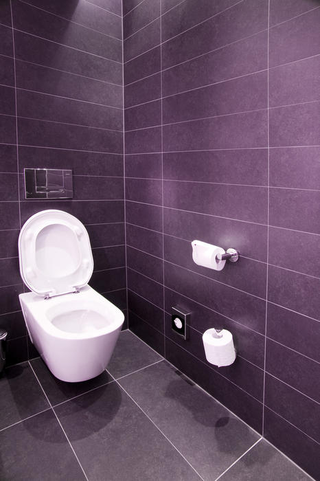 Interior of a vacant modern tiled water closet with white wall mounted fixtures