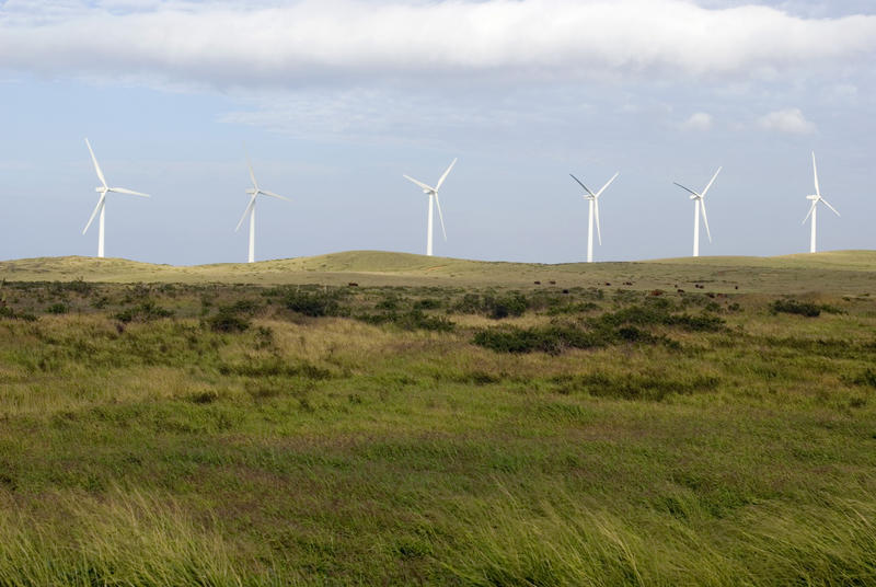 a line of wind turbines on a windy hillside